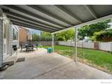 875 Mount Massive Street - Photo 19