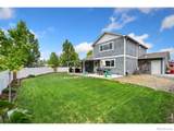 875 Mount Massive Street - Photo 20