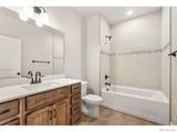 4260 Vulcan Creek Drive - Photo 13