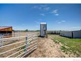 10188 County Road 23 - Photo 34
