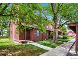 3131 Bell Drive - Photo 10
