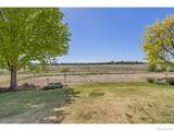 7023 Aladar Drive - Photo 29