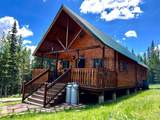10000 Forest Road - Photo 1