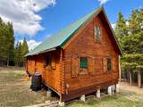 10000 Forest Road - Photo 15