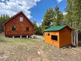 10000 Forest Road - Photo 16