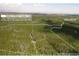 10000 Forest Road - Photo 20
