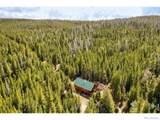 10000 Forest Road - Photo 22