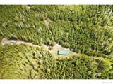 10000 Forest Road - Photo 24