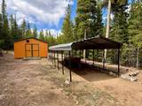 10000 Forest Road - Photo 25