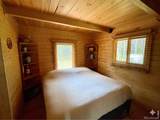 10000 Forest Road - Photo 9