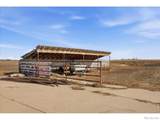 33062 County Road 43 - Photo 46