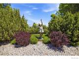 2591 Amber Drive - Photo 38
