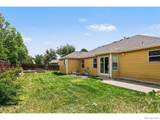 4967 30th Street - Photo 22