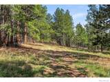 560 Quillan Gulch Road - Photo 39