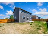 3611 Daylily Street - Photo 23