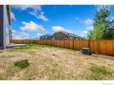 3611 Daylily Street - Photo 24