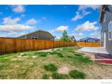 3611 Daylily Street - Photo 25