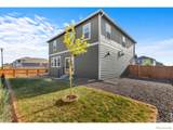 6402 Coralbell Street - Photo 49