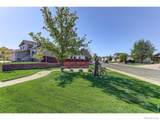 347 Linden Oaks Drive - Photo 50