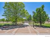 111 Rose Street - Photo 29
