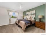 6531 St Vrain Ranch Boulevard - Photo 16