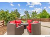 6531 St Vrain Ranch Boulevard - Photo 24