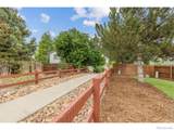 6531 St Vrain Ranch Boulevard - Photo 25