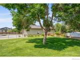 3519 Cindy Place - Photo 43