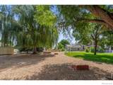 3519 Cindy Place - Photo 50
