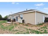 9548 Mcguire Avenue - Photo 20