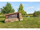 15934 Wild Horse Drive - Photo 36