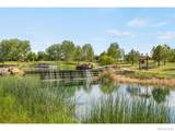 15934 Wild Horse Drive - Photo 37