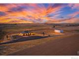 20138 Highway 52 - Photo 50
