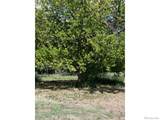 21378 County Road 21 - Photo 34