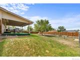 2901 Harp Court - Photo 25
