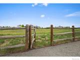 8555 Blackwood Drive - Photo 45