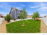 715 Mt Evans Avenue - Photo 27