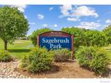 10674 Echo Street - Photo 43