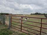 5576 County Road G - Photo 12
