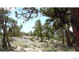 1502 Bald Mountain Drive - Photo 28