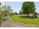 3433 Cottonwood Circle - Photo 32