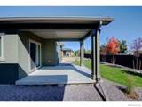 1158 Blue Agave Court - Photo 36