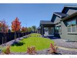 1158 Blue Agave Court - Photo 5