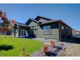 1158 Blue Agave Court - Photo 6