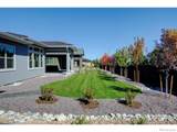 1168 Blue Agave Court - Photo 19