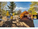 12155 County Road 15 - Photo 21