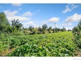 12155 County Road 15 - Photo 7