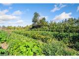 12155 County Road 15 - Photo 8