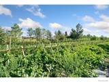 12155 County Road 15 - Photo 9