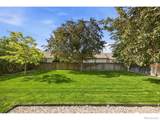 2213 Timber Creek Drive - Photo 39